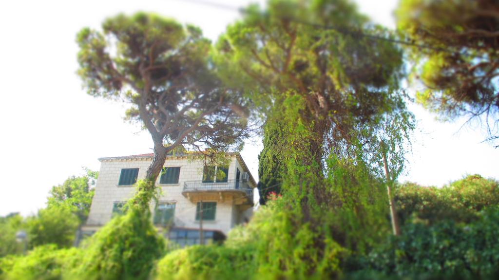 Apartment Dubrovnik Surprise ภายนอก รูปภาพ